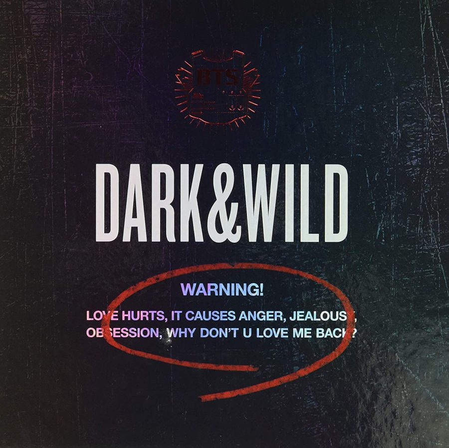 BTS - DARK & WILD image 0