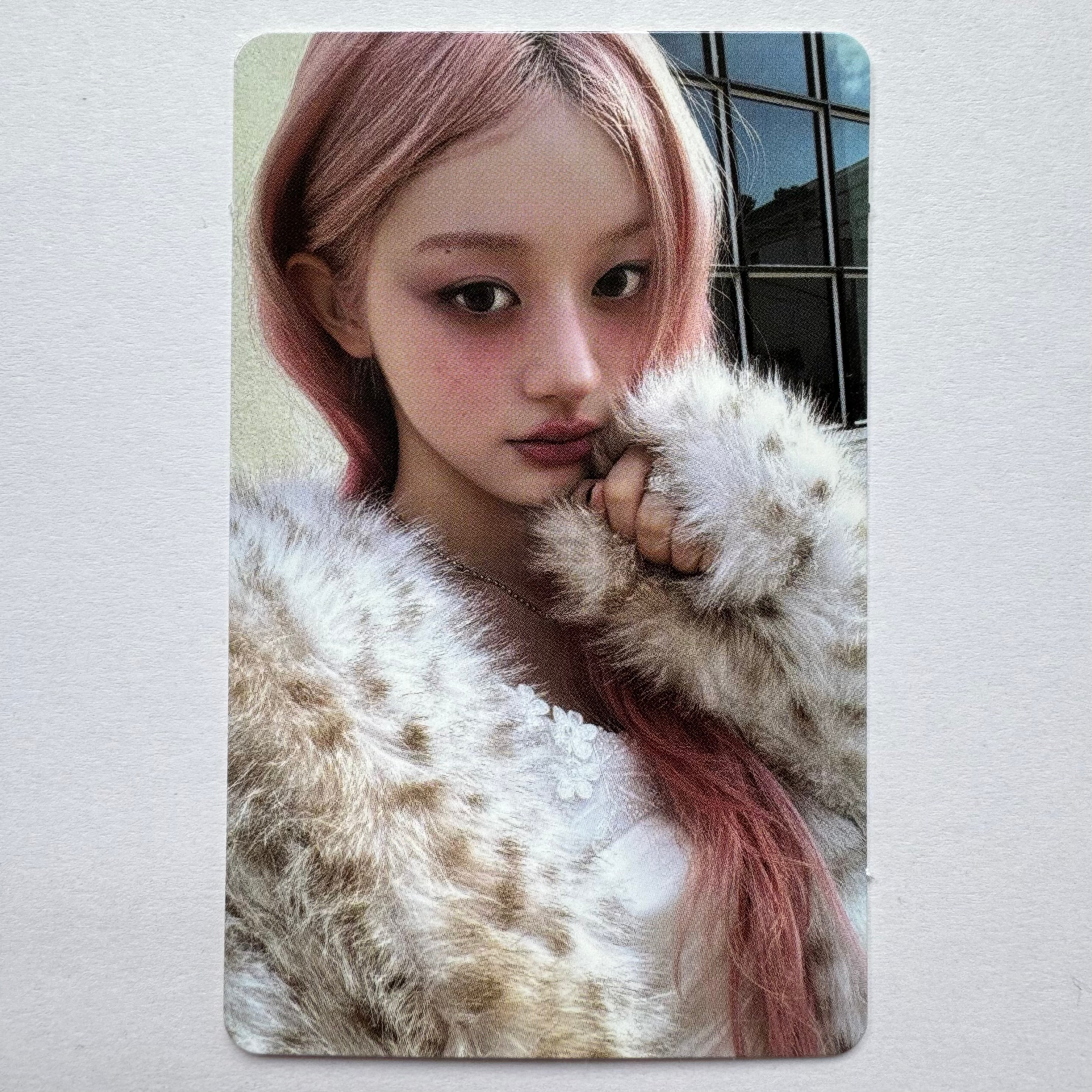 ILLIT - MAMIHLAPINATAPAI Weverse Shop POB Photocards