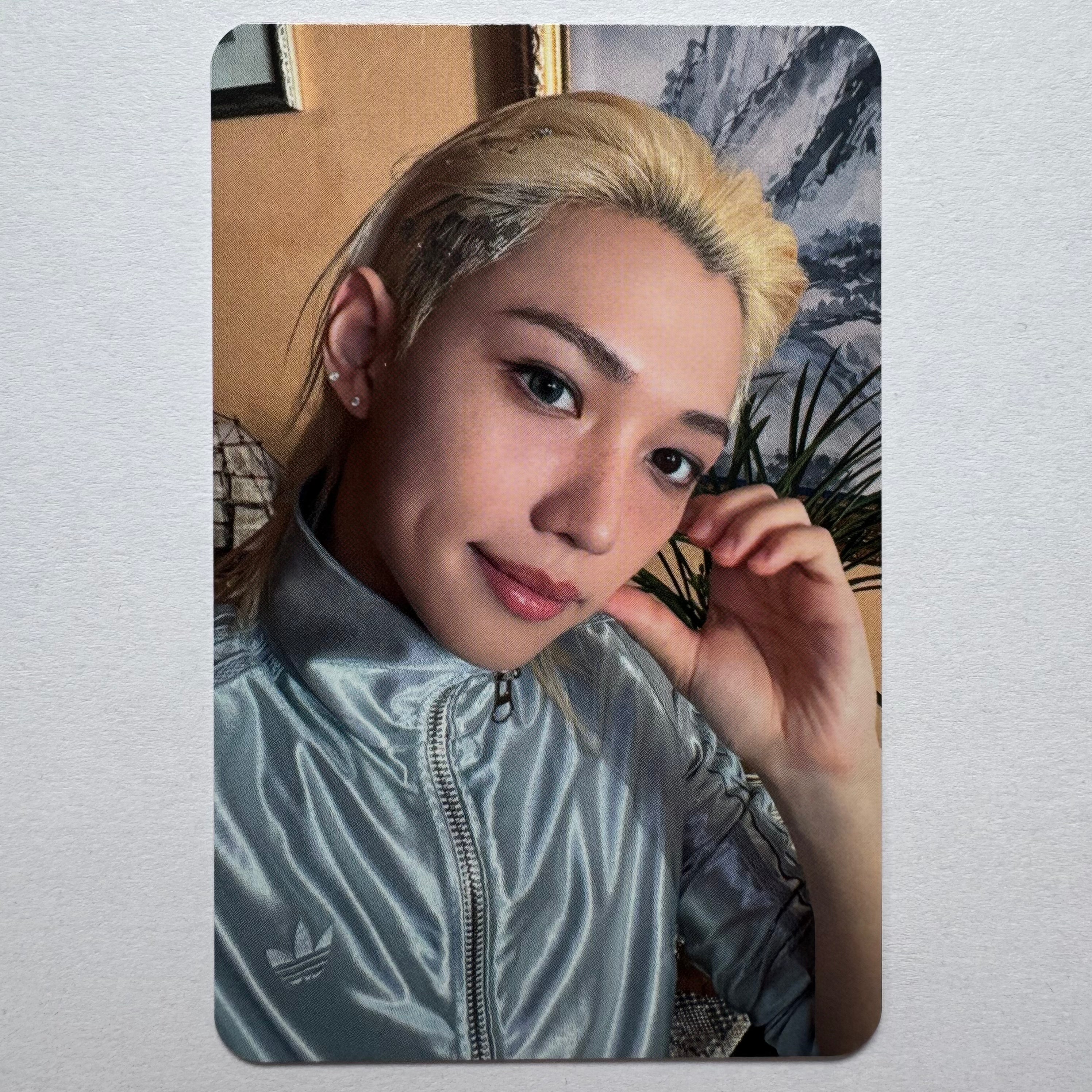 Stray Kids - THIS & THAT Music Plant Photocards