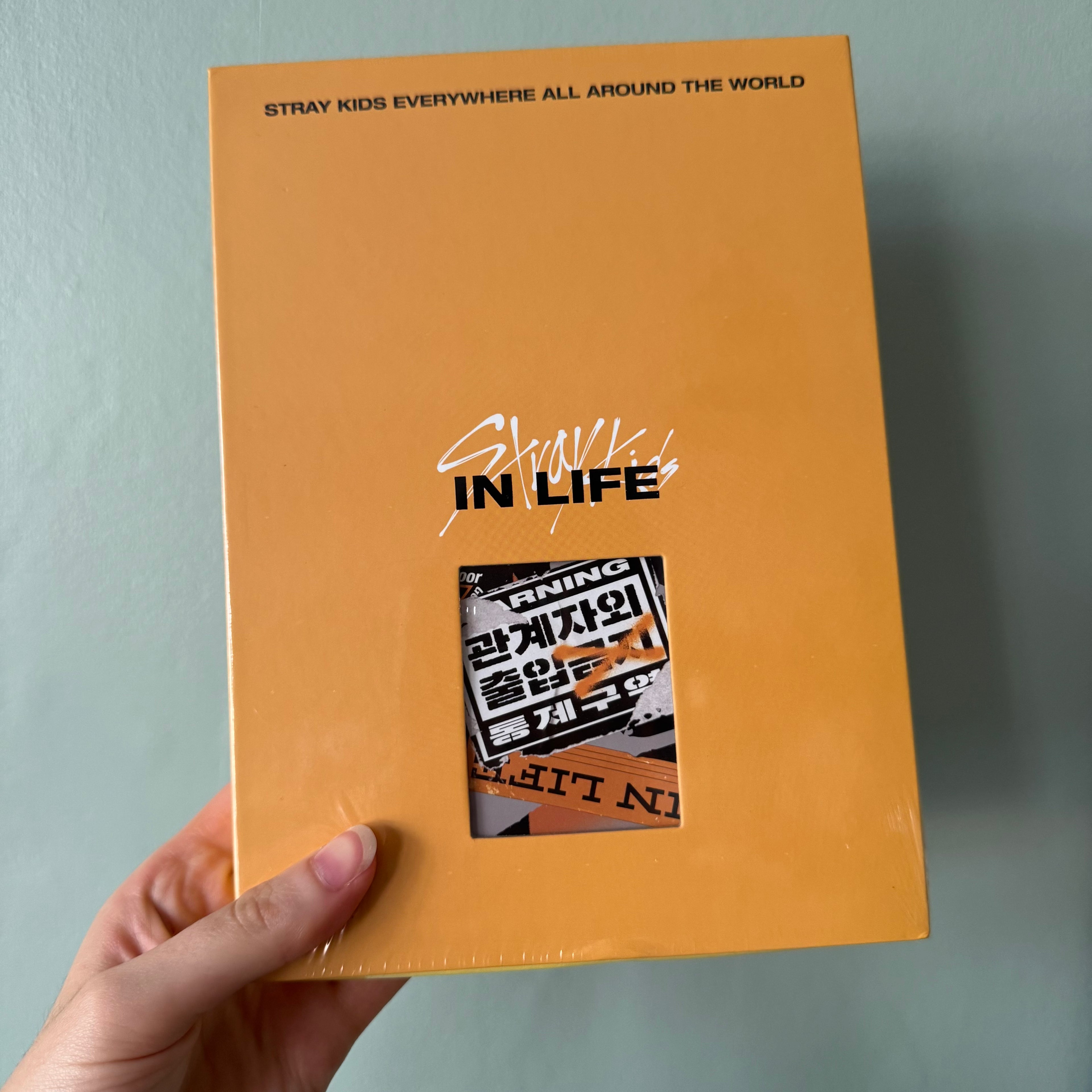 Stray Kids - [IN LIFE]