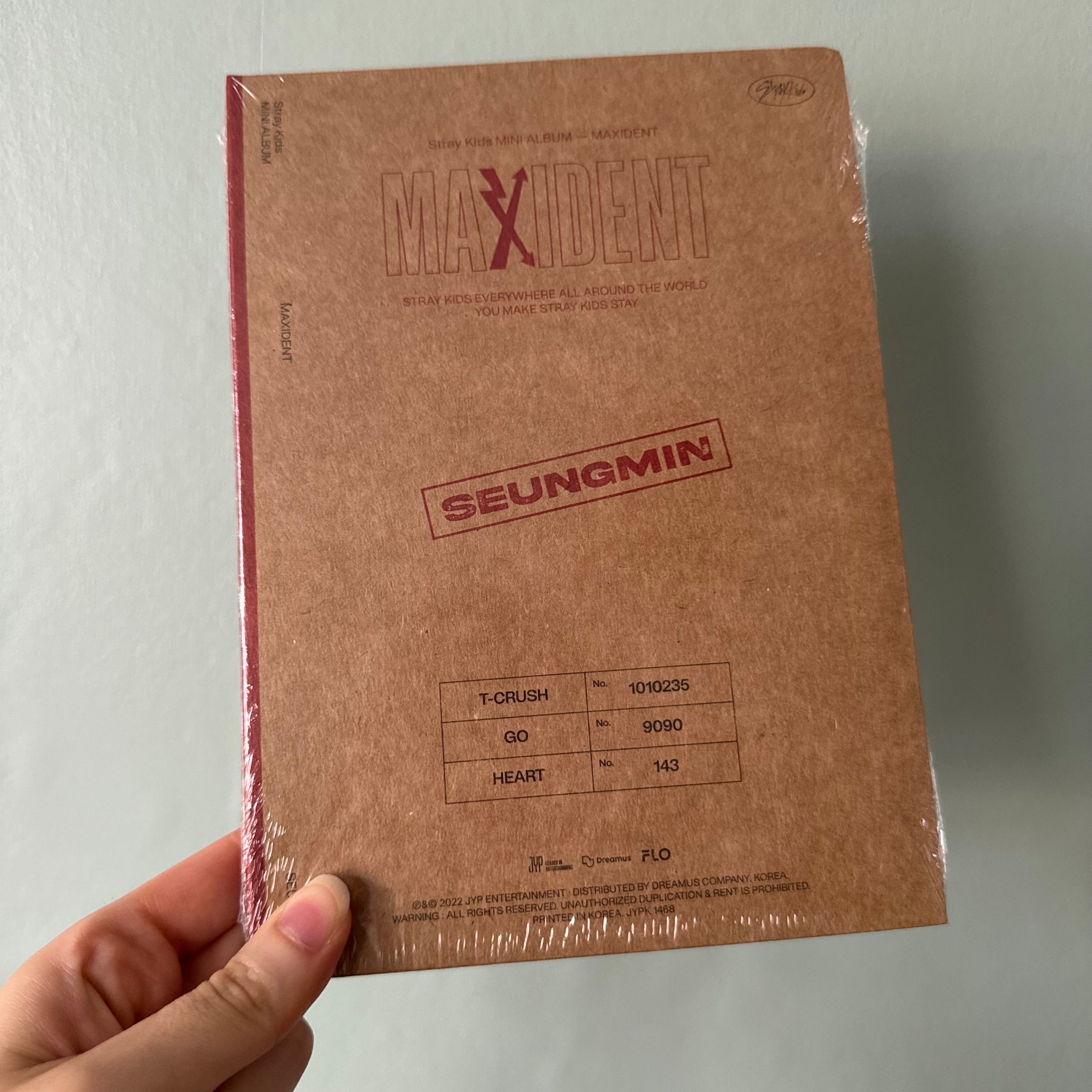 Stray Kids - MAXIDENT [CASE Ver.]