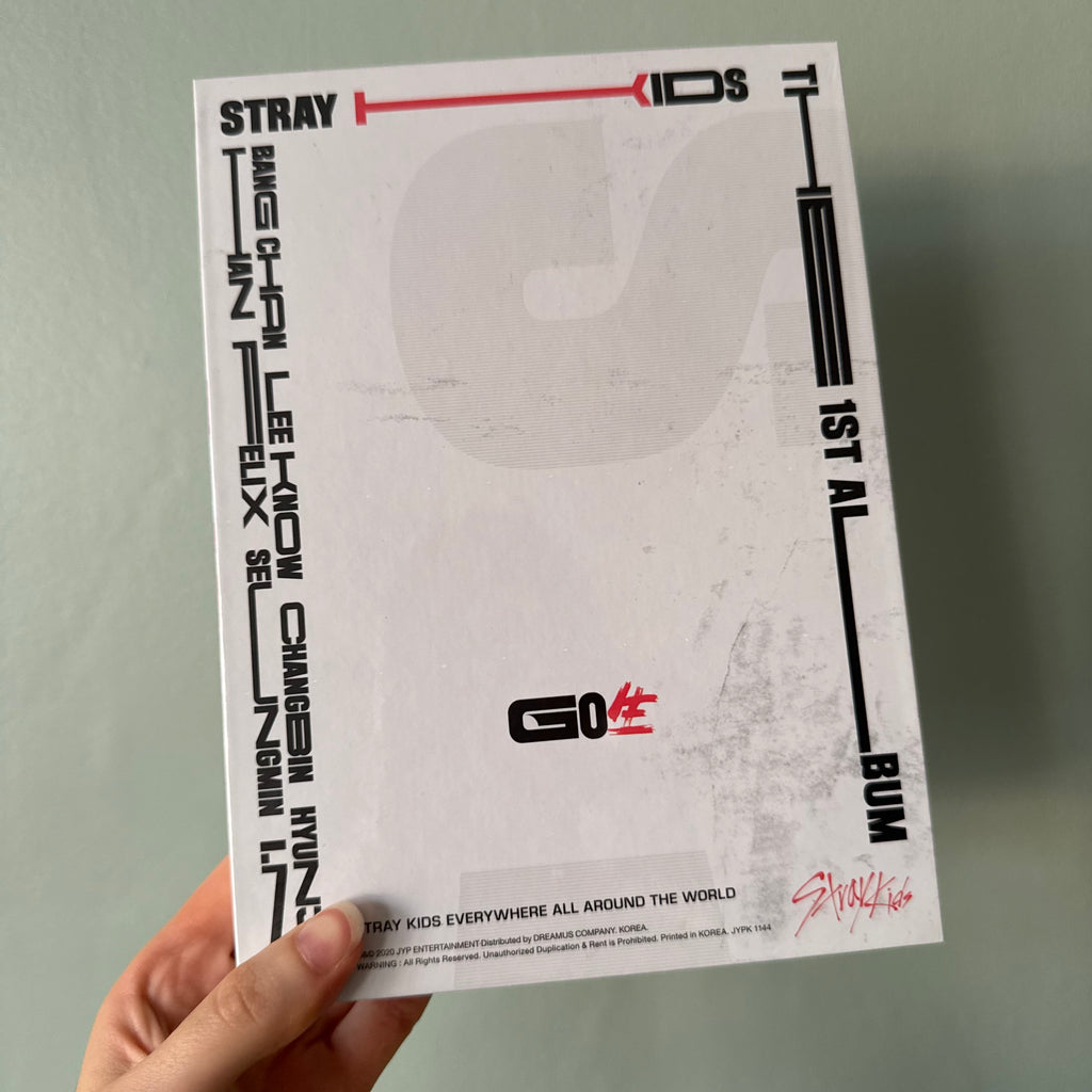 Stray Kids - GO LIVE