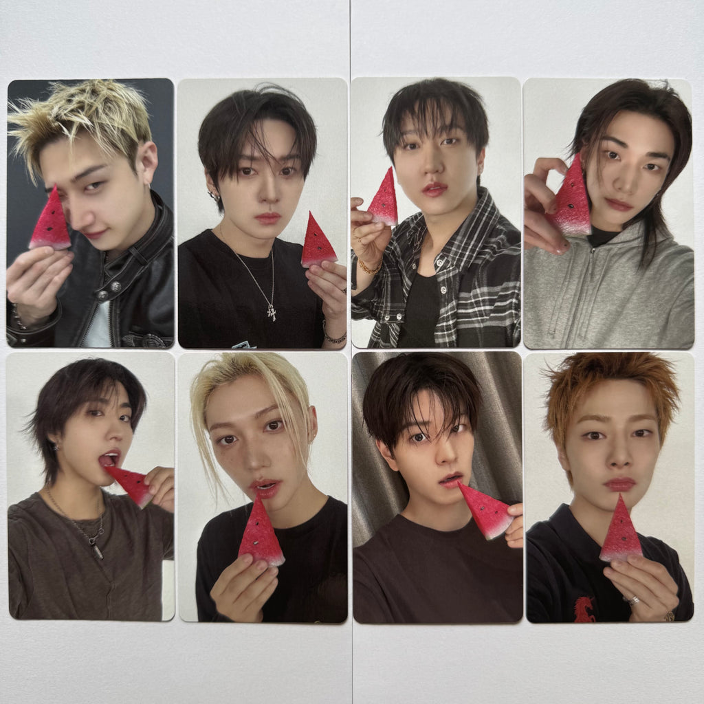 Stray Kids - THIS & THAT Fans Shop Photocards