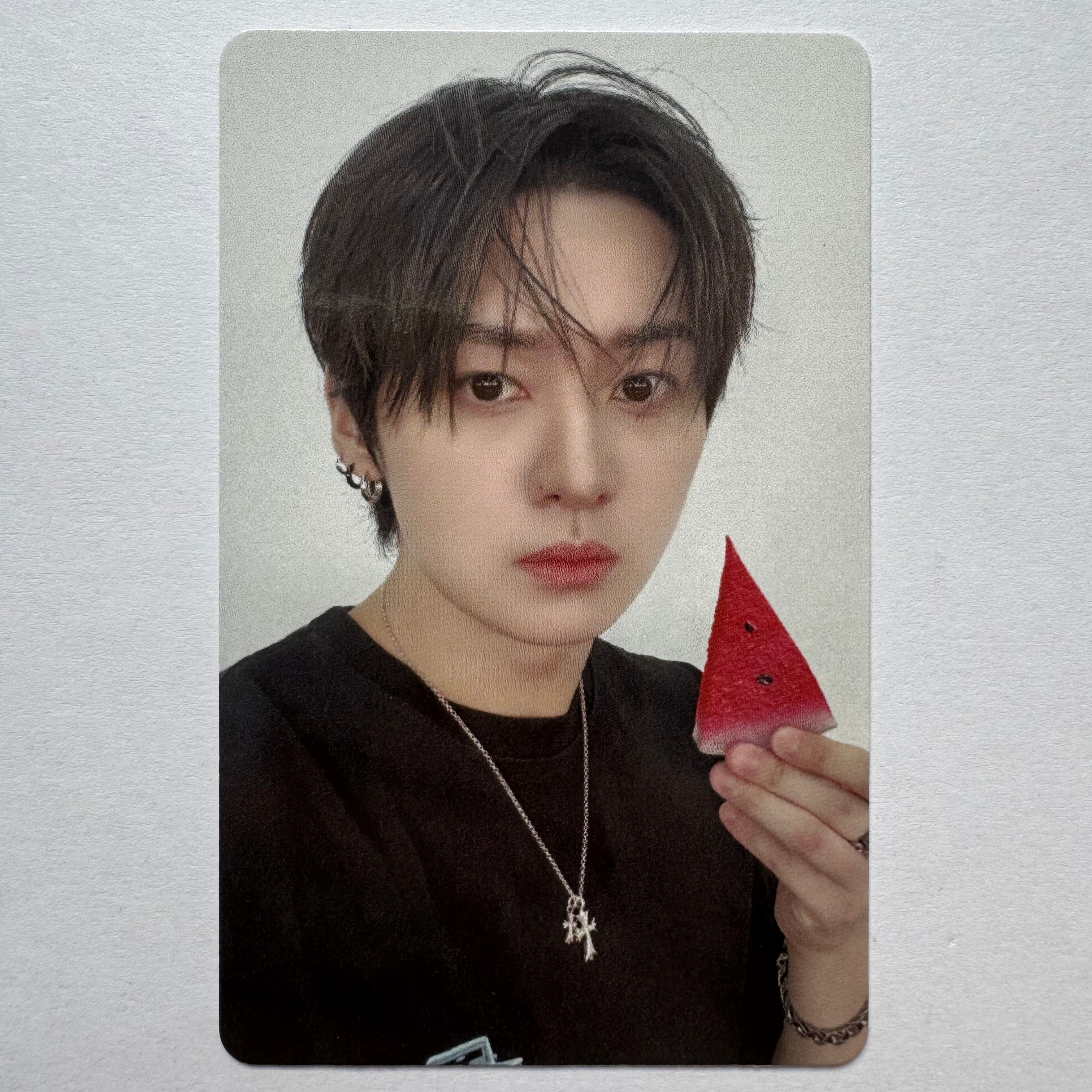 Stray Kids - THIS & THAT Fans Shop Photocards