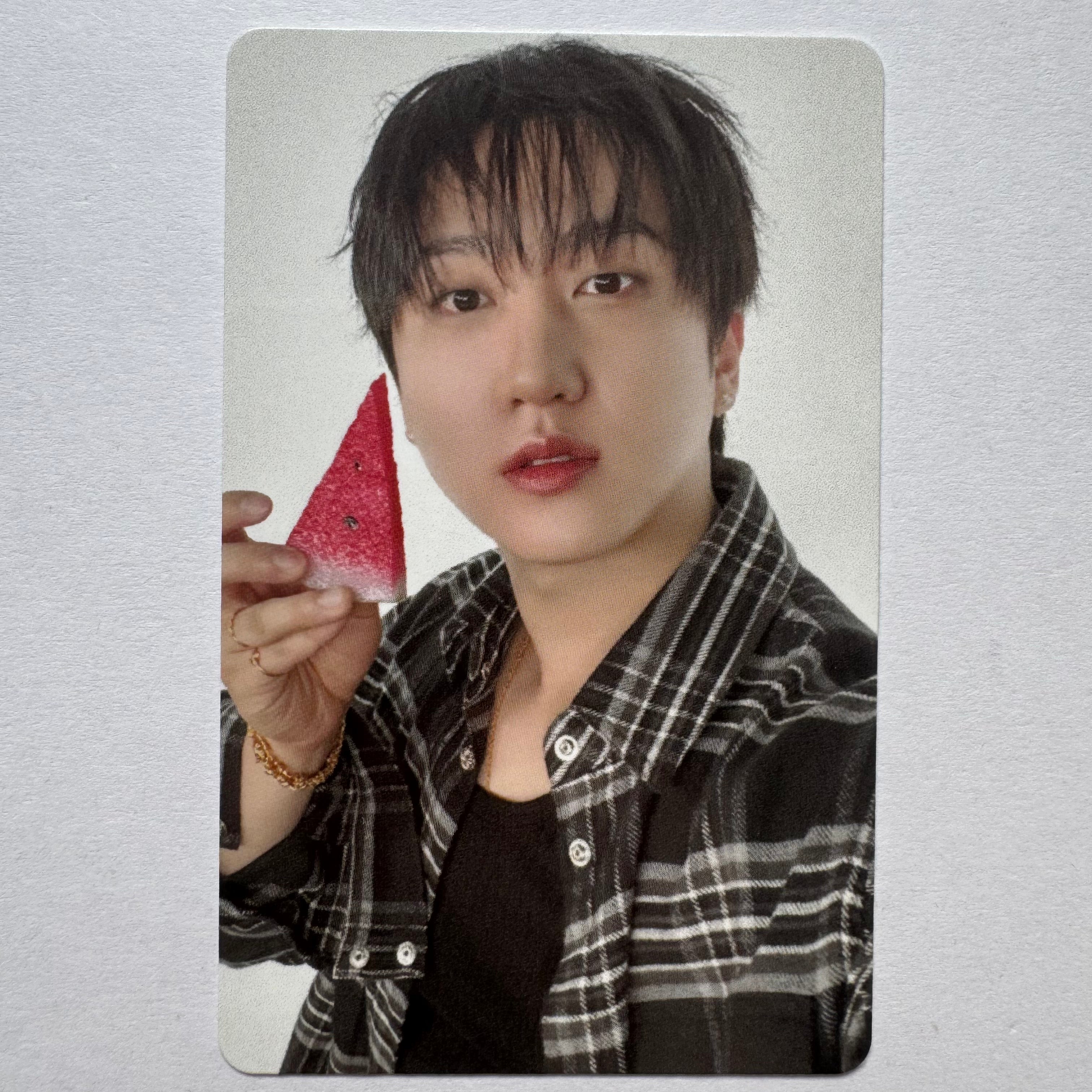 Stray Kids - THIS & THAT Fans Shop Photocards