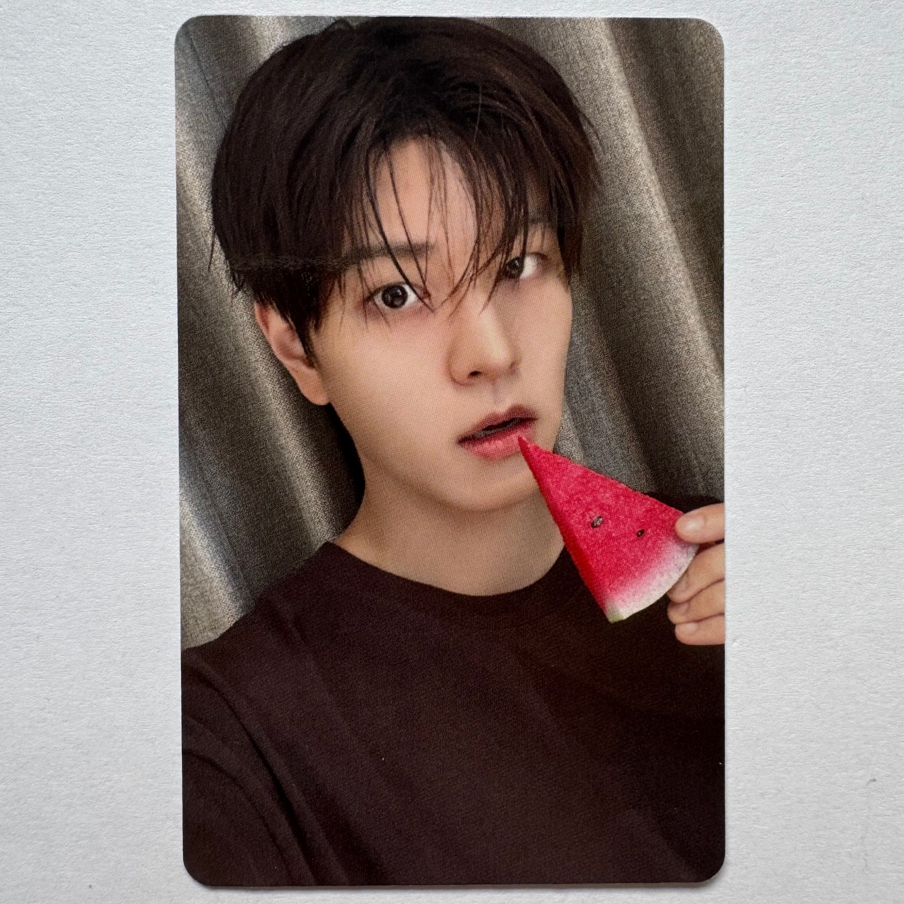 Stray Kids - THIS & THAT Fans Shop Photocards