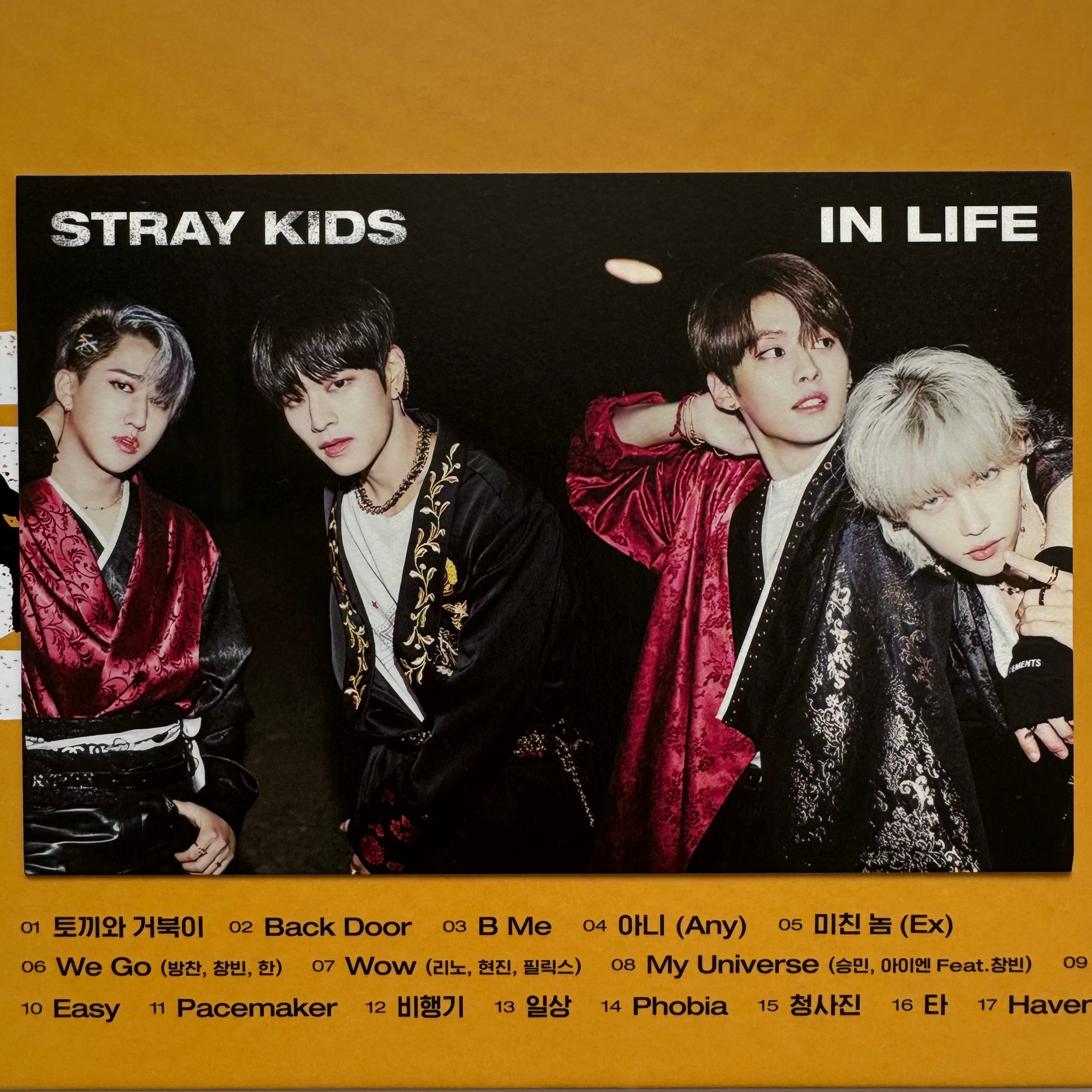 Stray Kids - IN LIFE Unit Postcard