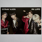 Stray Kids - IN LIFE Unit Postcard