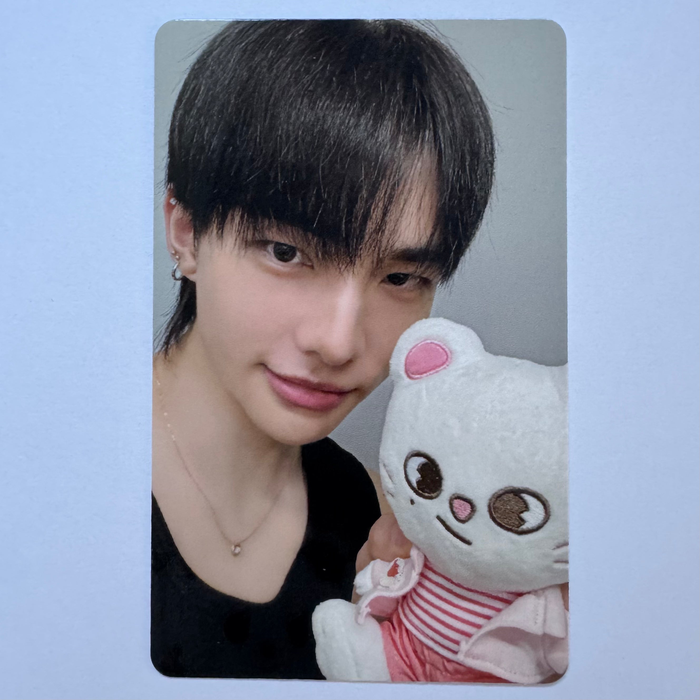 Stray Kids - SKZOO X ZOOTOPIA 2 Pop-Up Store Photocards