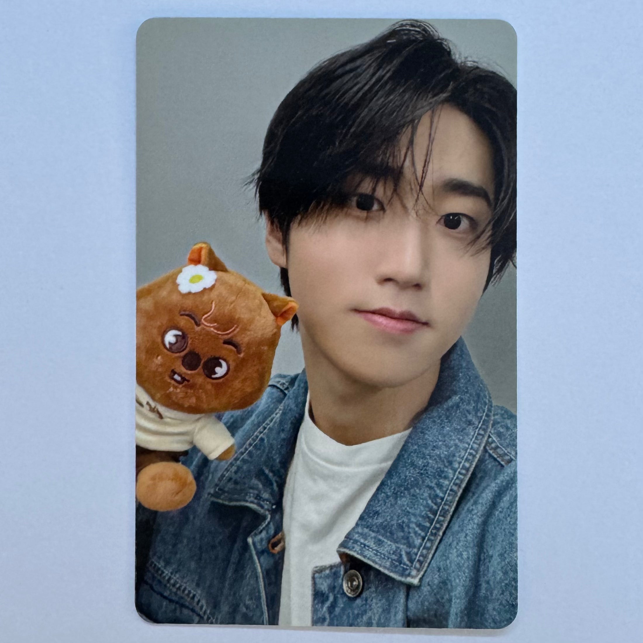 Stray Kids - SKZOO X ZOOTOPIA 2 Pop-Up Store Photocards