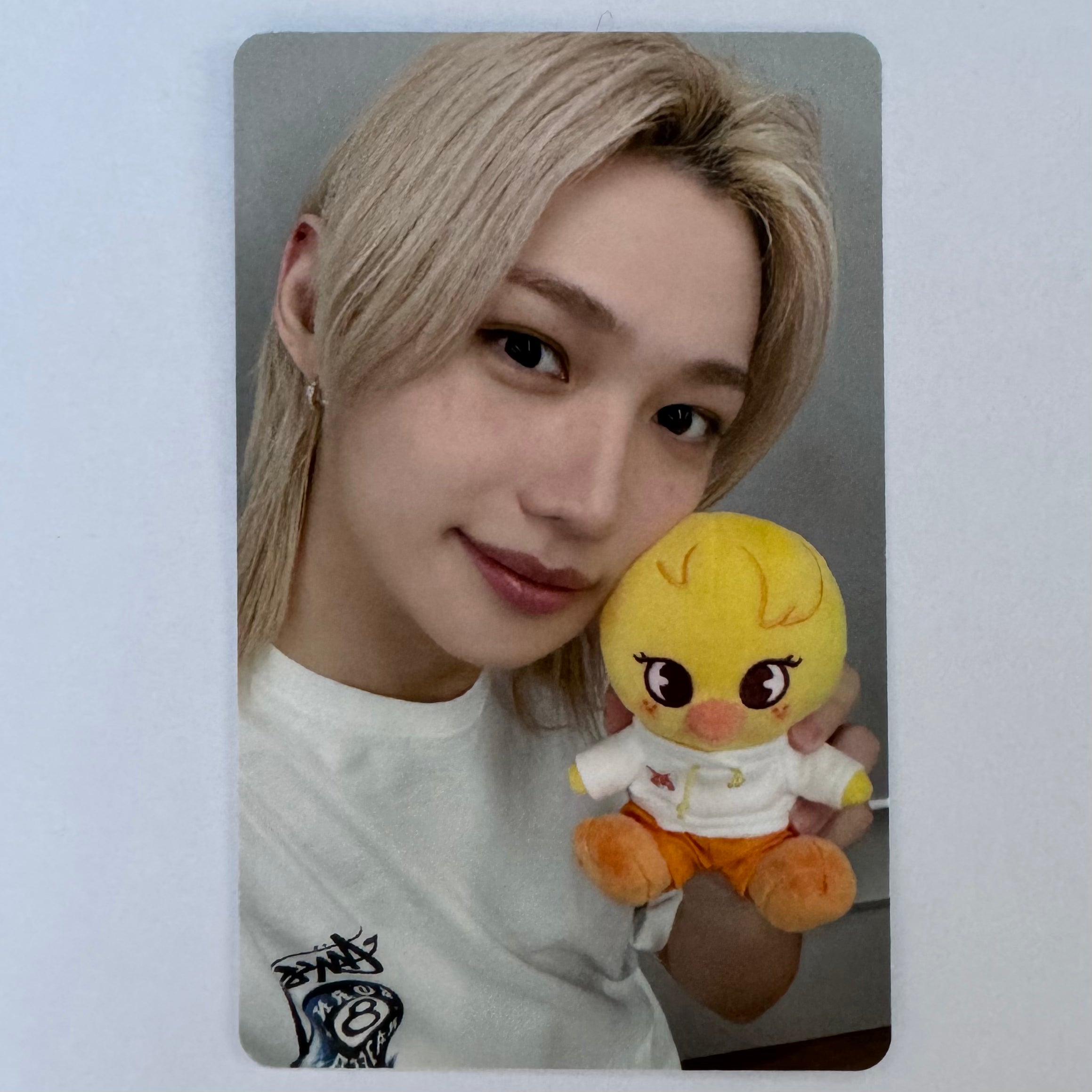 Stray Kids - SKZOO X ZOOTOPIA 2 Pop-Up Store Photocards