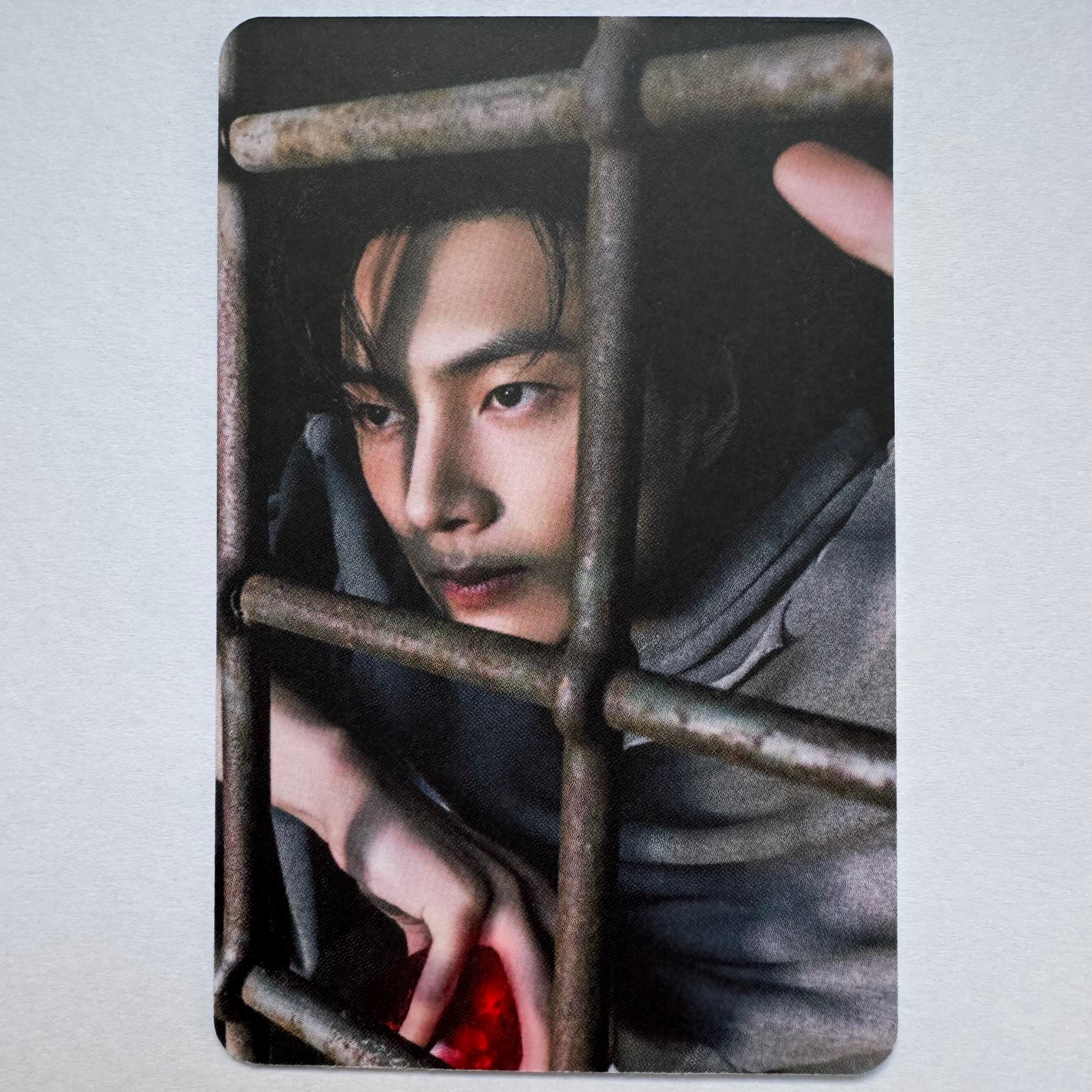 ENHYPEN - THE SIN: VANISH Apple Music Photocards