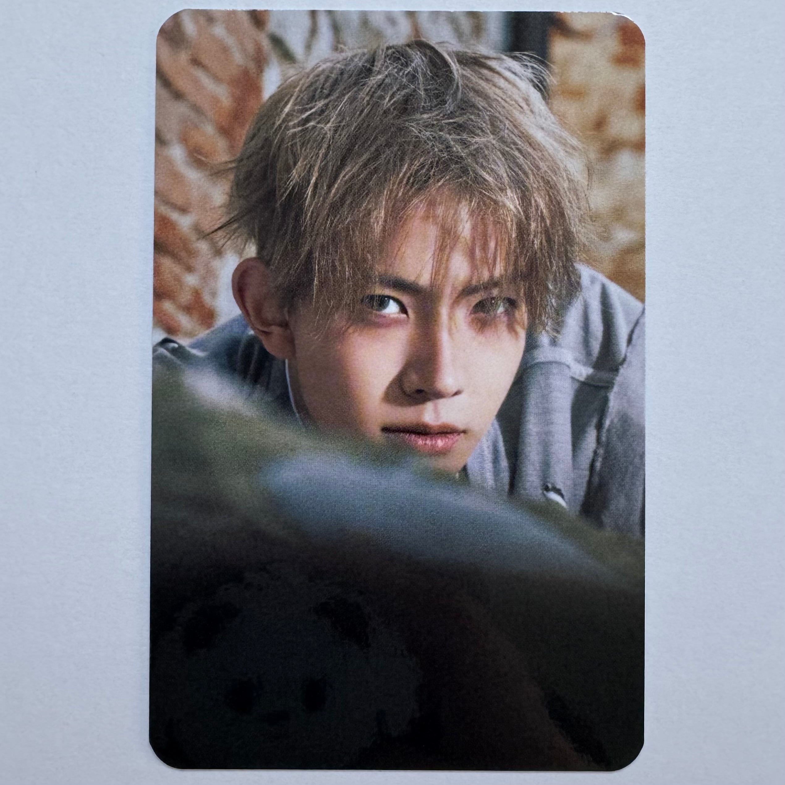 ENHYPEN - THE SIN: VANISH Makestar Photocards