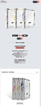 Stray Kids - GO LIVE